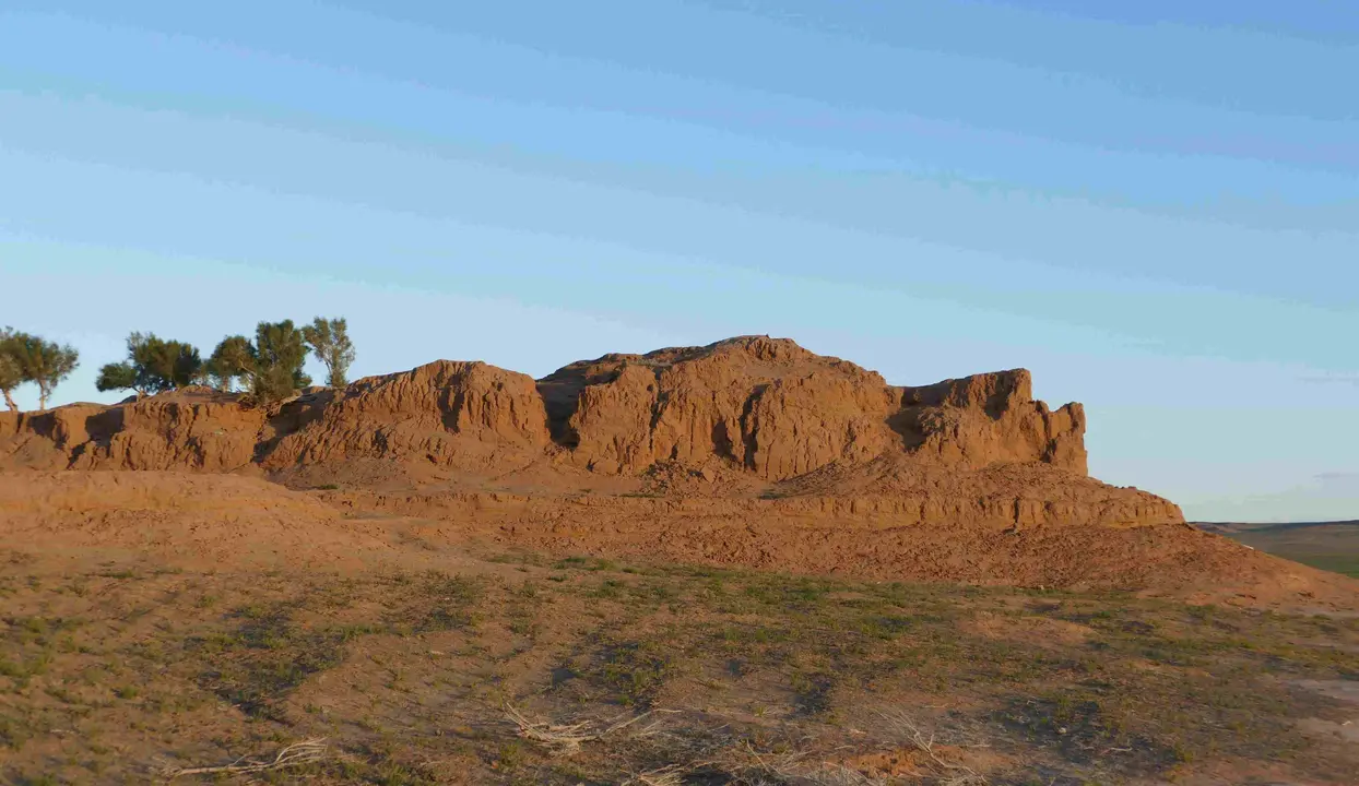 Bayanzag - Flaming Cliffs